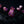 Load image into Gallery viewer, Coven - Crypt Collection